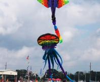 Kite Fest West Baton Rouge